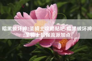 暗黑破坏神2圣骑士攻略贴吧-暗黑破坏神2圣骑士最强流派加点