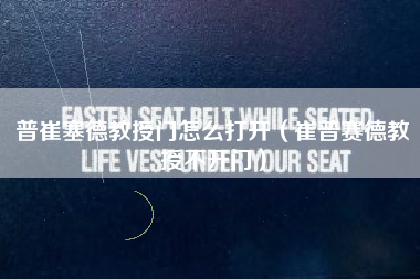 普崔塞德教授门怎么打开（崔普赛德教授不开门）