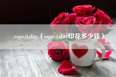 csgovitality（csgovitality印花多少钱）
