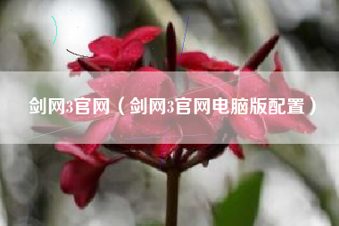 剑网3官网（剑网3官网电脑版配置）