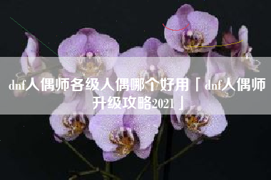 dnf人偶师各级人偶哪个好用「dnf人偶师升级攻略2021」