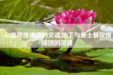 dnf暴戾搜捕团的灵魂,地下与勇士暴戾搜捕团的灵魂