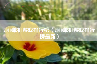 2010单机游戏排行榜（2010单机游戏排行榜最新）