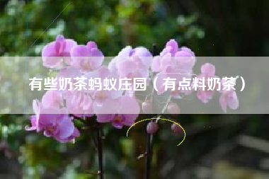 有些奶茶蚂蚁庄园（有点料奶茶）