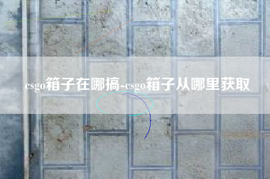 csgo箱子在哪搞-csgo箱子从哪里获取