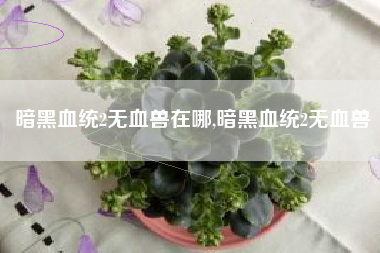 暗黑血统2无血兽在哪,暗黑血统2无血兽