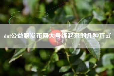 dnf公益服发布网大号练起来的几种方式