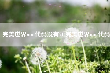 完美世界mm代码没有71 完美世界mm代码