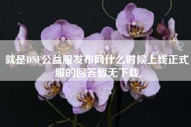 就是DNF公益服发布网什么时候上线正式服的回答暂无下载