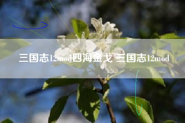 三国志12mod四海金戈 三国志12mod