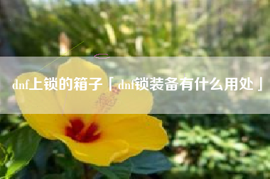 dnf上锁的箱子「dnf锁装备有什么用处」