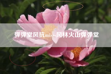 弹弹堂风抗miss-风林火山弹弹堂