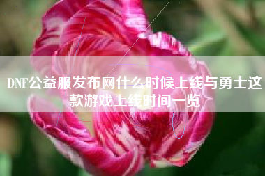DNF公益服发布网什么时候上线与勇士这款游戏上线时间一览
