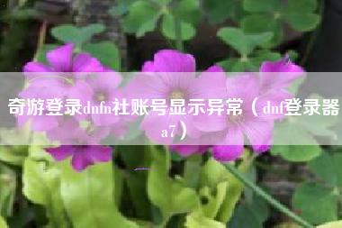 奇游登录dnfn社账号显示异常（dnf登录器a7）