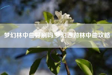 梦幻林中曲好刷吗,梦幻西游林中曲攻略