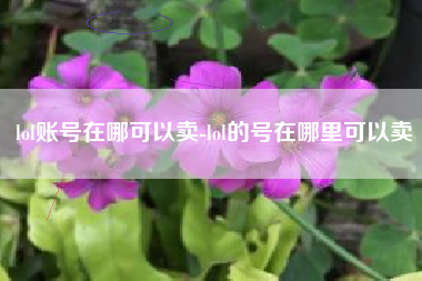 lol账号在哪可以卖-lol的号在哪里可以卖