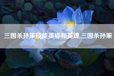 三国杀孙策技能英姿和英魂,三国杀孙策