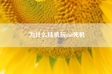 为什么挂机玩dnf死机