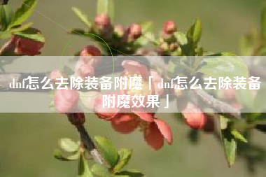 dnf怎么去除装备附魔「dnf怎么去除装备附魔效果」