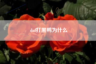 dnf打黑鸭为什么