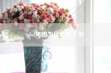 dnf男团为什么会下架