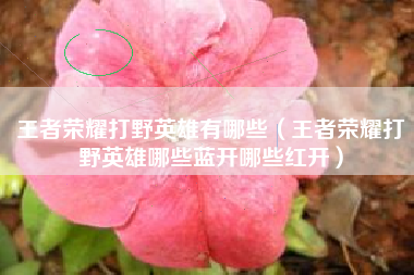 王者荣耀打野英雄有哪些（王者荣耀打野英雄哪些蓝开哪些红开）