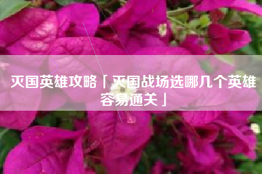 灭国英雄攻略「灭国战场选哪几个英雄容易通关」