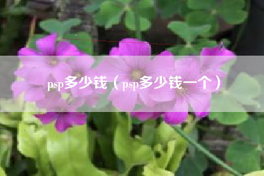 psp多少钱（psp多少钱一个）