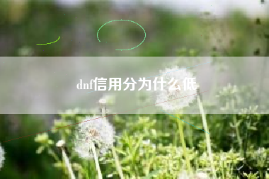 dnf信用分为什么低