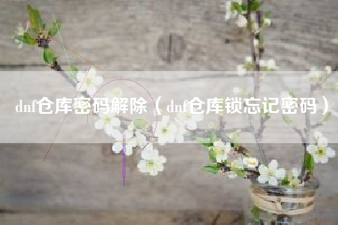 dnf仓库密码解除（dnf仓库锁忘记密码）