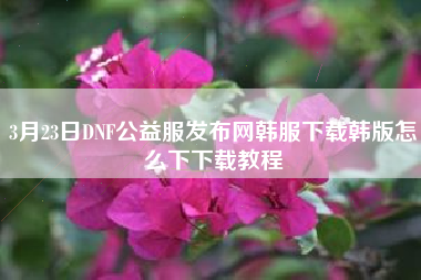 3月23日DNF公益服发布网韩服下载韩版怎么下下载教程