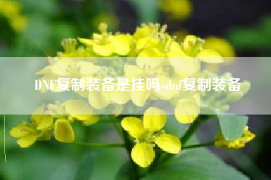 DNF复制装备是挂吗-dnf复制装备