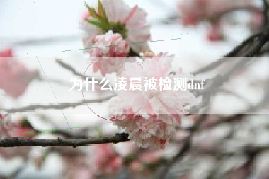 为什么凌晨被检测dnf