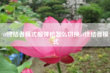 cf终结者模式榴弹枪怎么切换,cf终结者模式