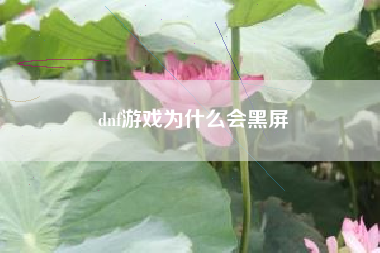 dnf游戏为什么会黑屏