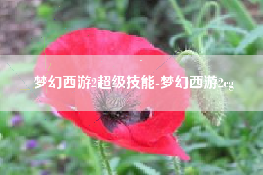 梦幻西游2超级技能-梦幻西游2cg