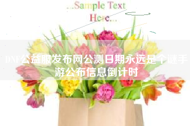 DNF公益服发布网公测日期永远是个谜手游公布信息倒计时