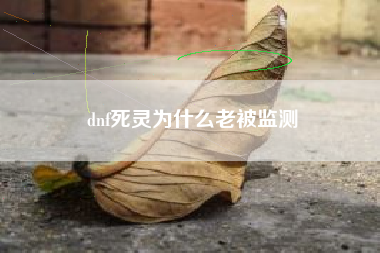 dnf死灵为什么老被监测