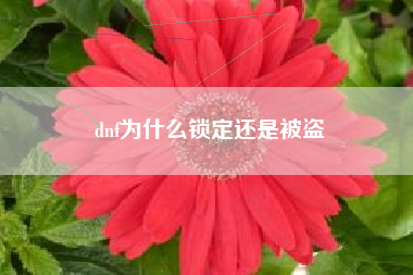 dnf为什么锁定还是被盗