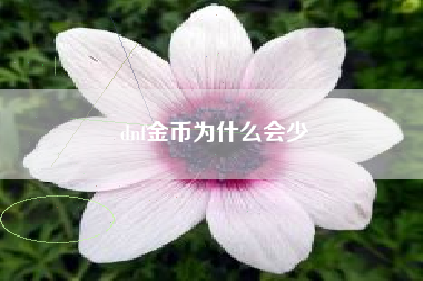dnf金币为什么会少