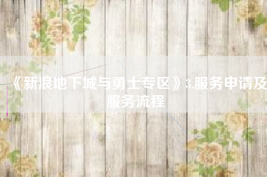 《新浪地下城与勇士专区》3.服务申请及服务流程
