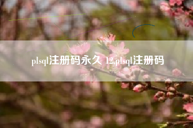 plsql注册码永久 12,plsql注册码