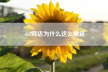 dnf商店为什么这么便宜