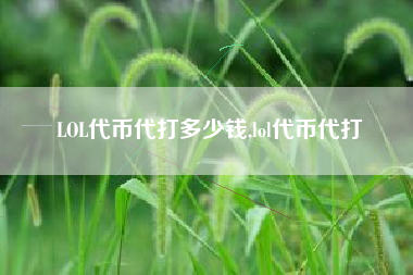 LOL代币代打多少钱,lol代币代打