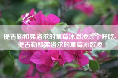 提古勒和弗洛尔的草莓冰激凌哪个好吃-提古勒和弗洛尔的草莓冰激凌