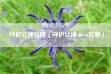 守护女神攻略（守护女神40rpg攻略）
