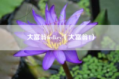 大富翁6cdkey（大富翁4）