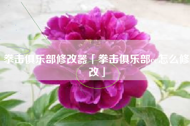 拳击俱乐部修改器「拳击俱乐部ce怎么修改」
