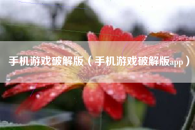 手机游戏破解版（手机游戏破解版app）