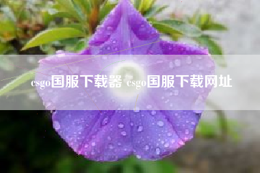 csgo国服下载器 csgo国服下载网址